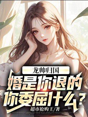 龙帅归国婚是你退的