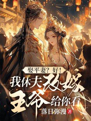 娶平妻?好!我休夫改嫁王爷给你看落日