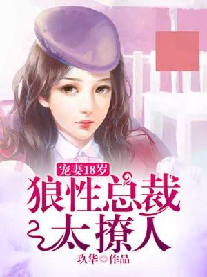 狼性总裁宠妻无度全文