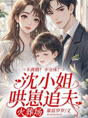 不离婚不分床 沈小姐哄崽追夫火葬场全文阅读