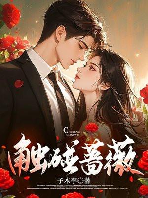 触碰蔷薇笔趣阁全文免费阅读