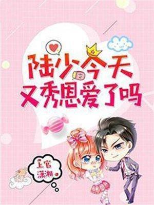 陆少爷今天追妻了吗全文免费阅读