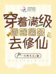 带着满级的游戏角色穿越