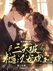 穿书知青糙汉年代文