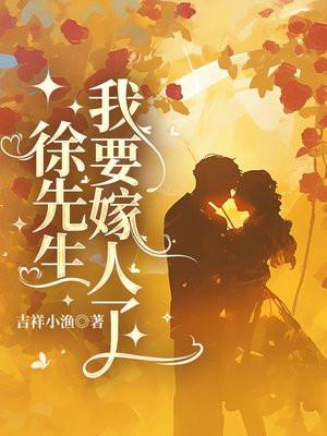 徐先生我要嫁人了免费阅读无弹窗