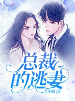 恍若晨曦的四神集团1首席总裁的逃妻
