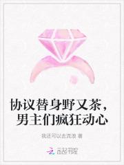 协议妻子作者半人间