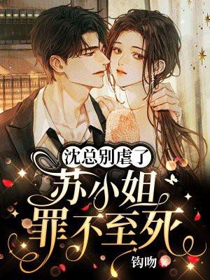 沈先生和苏小姐