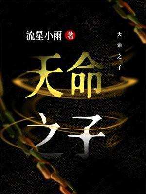 天命之子刘秀VS穿越者王莽