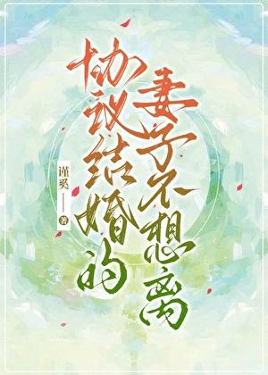 协议结婚的妻子不想离GL免费阅读