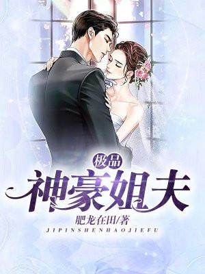 极品神医姐夫叶涛