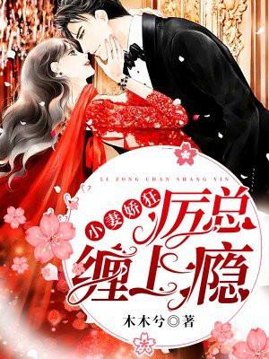 妻情撩婚历总的小情人