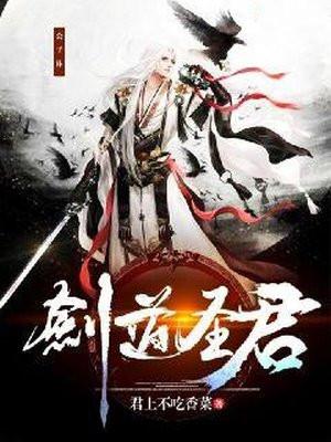 剑道圣君天外飞猪最新章节更新情况