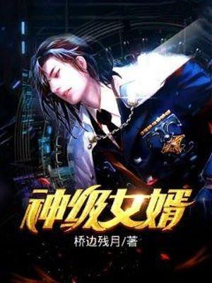 神级女婿何金银