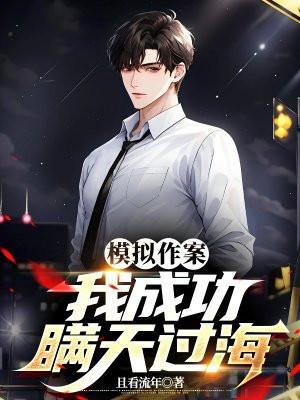 我实施了完美犯罪是什么