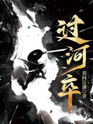 过河卒 电视剧