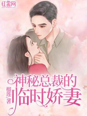 神秘总裁小娇妻