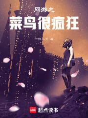 网游之菜鸟很疯狂男主到底是谁