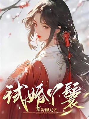 试婚丫鬟毕贵圆儿男主是谁