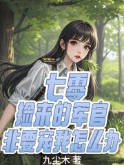 军官捡了一个乞丐电视剧