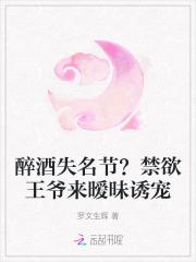 禁欲王爷宠上瘾