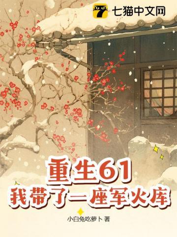 我带了一座军火库全文