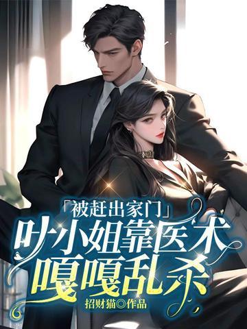 被赶出家门叶小姐靠医术嘎嘎乱杀 招财猫