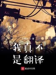 我不是翻译英语