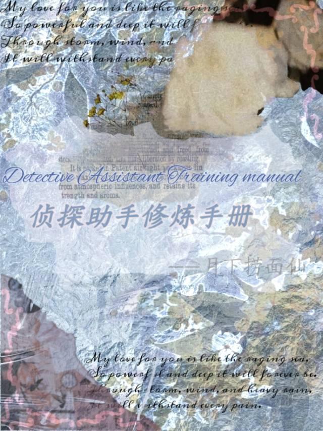 手机版侦探6.0