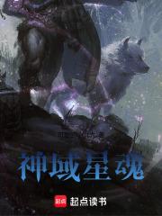 星神领域