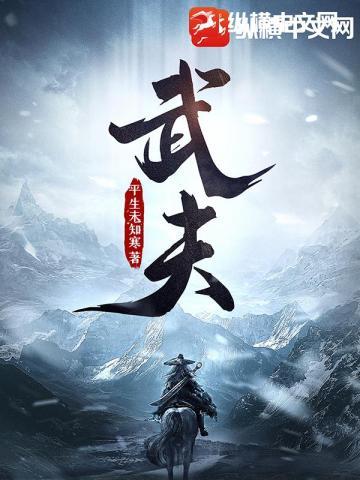 武夫TXT