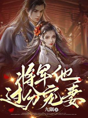 将军夫人过分美全文