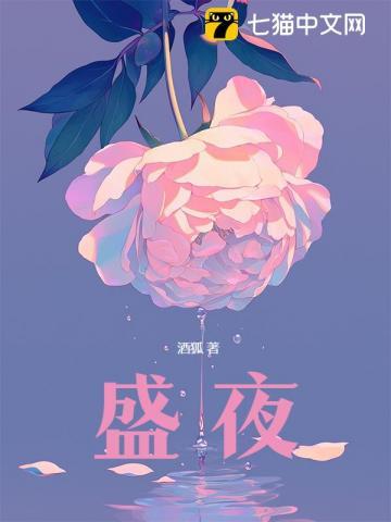 盛夜相逢