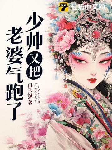 少帅的老婆又跑啦