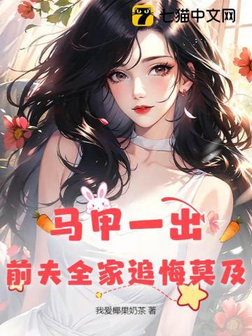 马甲全文