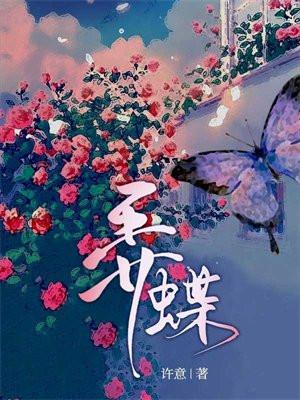 弄蝶 即枫