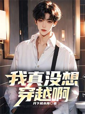 我真没想穿越啊结局