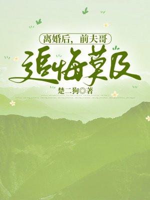 离婚后前夫对我紧追不舍免费阅读