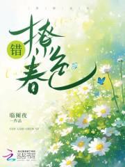 错撩 全文免费