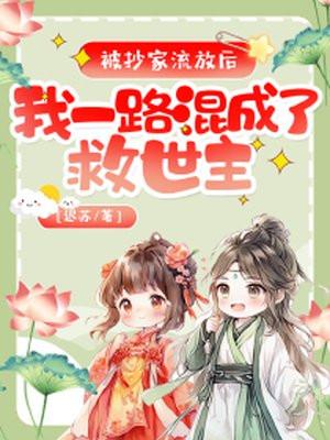 被抄家流放后我一路混成了救世主