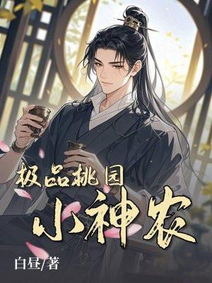 桃源极品小神医xb