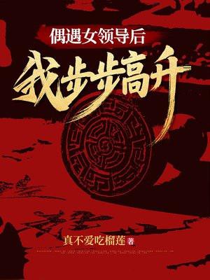 遇见女领导之后青云直上