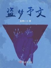 盗梦王