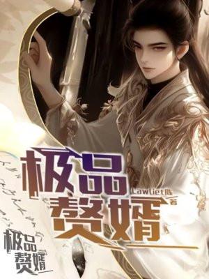极品 赘婿