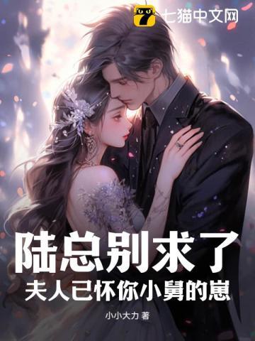 陆总别求了夫人已被宠上天全文无广告