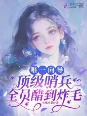 向导哨兵纯爱文
