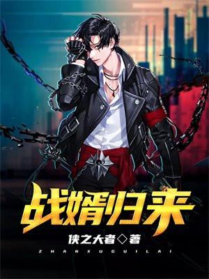 战婿归来阅读