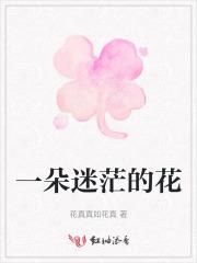 一朵迷茫的花歌词