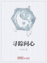 寻心问道什么意思