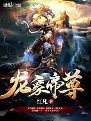 龙象帝尊免费阅读